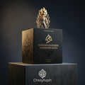 Chtoyhqsh™ Saiyan Legends: Unknown Paths Blind Box Series